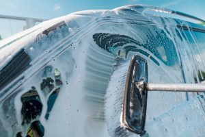 brushes maintenance